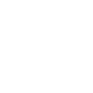 2011